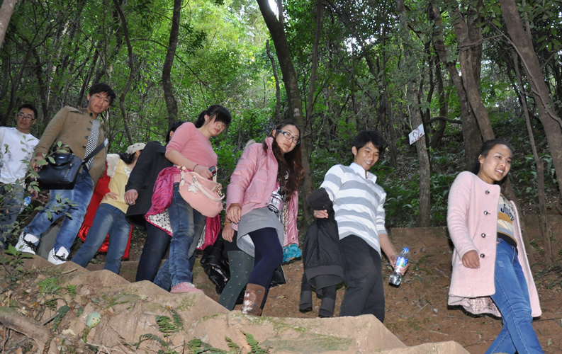 青龙峡位于昆明西郊安宁市青龙镇滇中生态大峡谷中，景区有保存较为完好的植物群落，遮天蔽日的参天古木；有浪漫山花，野果飘香，还有清秀宁静的田园风光。河谷沿岸古柳成荫，几十里的云南樱花大道成为昆明郊游靓丽的风景线。景区中溪水潺潺，千姿百态、千奇百怪的蔓藤风光随处可见，号称“都市身旁的小九寨。